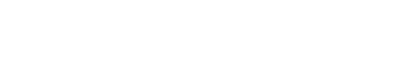bigsys-logo-blanco